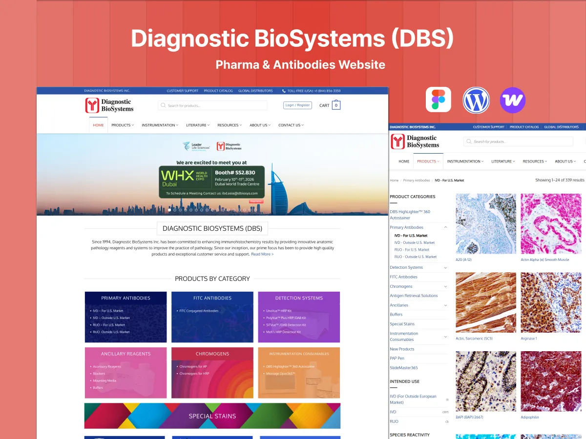 Diagnostic BioSystems: design overview